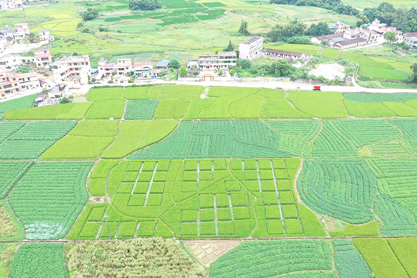 試驗田模塊