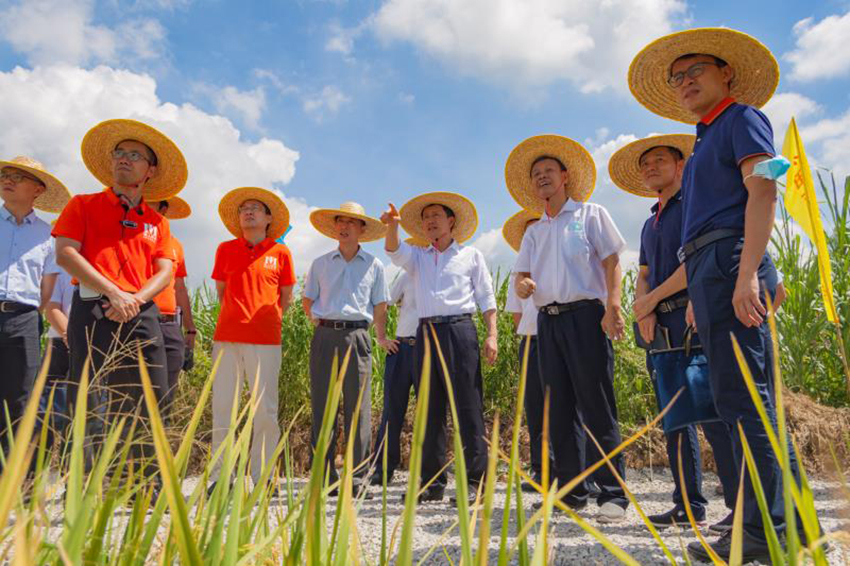 領(lǐng)導(dǎo)視察項目實施指導(dǎo)工作