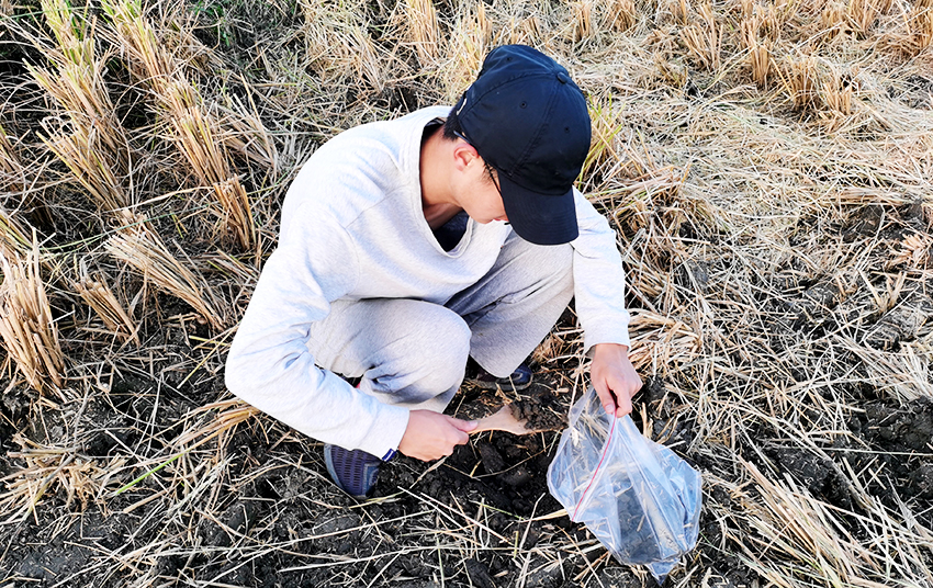 采集土壤進行進行化驗