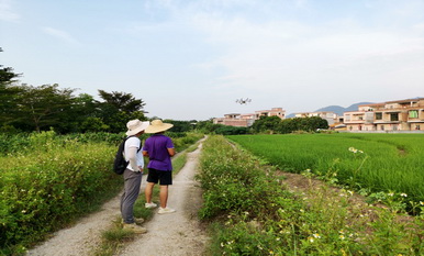 2020年陽江市植保植檢和種子土肥環保管理站耕地安全利用試驗示范項目