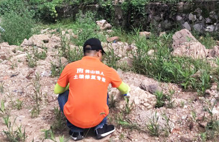 清水塘生態(tài)新城臨江路(清湖路-清雨路)場地環(huán)境調(diào)查報告